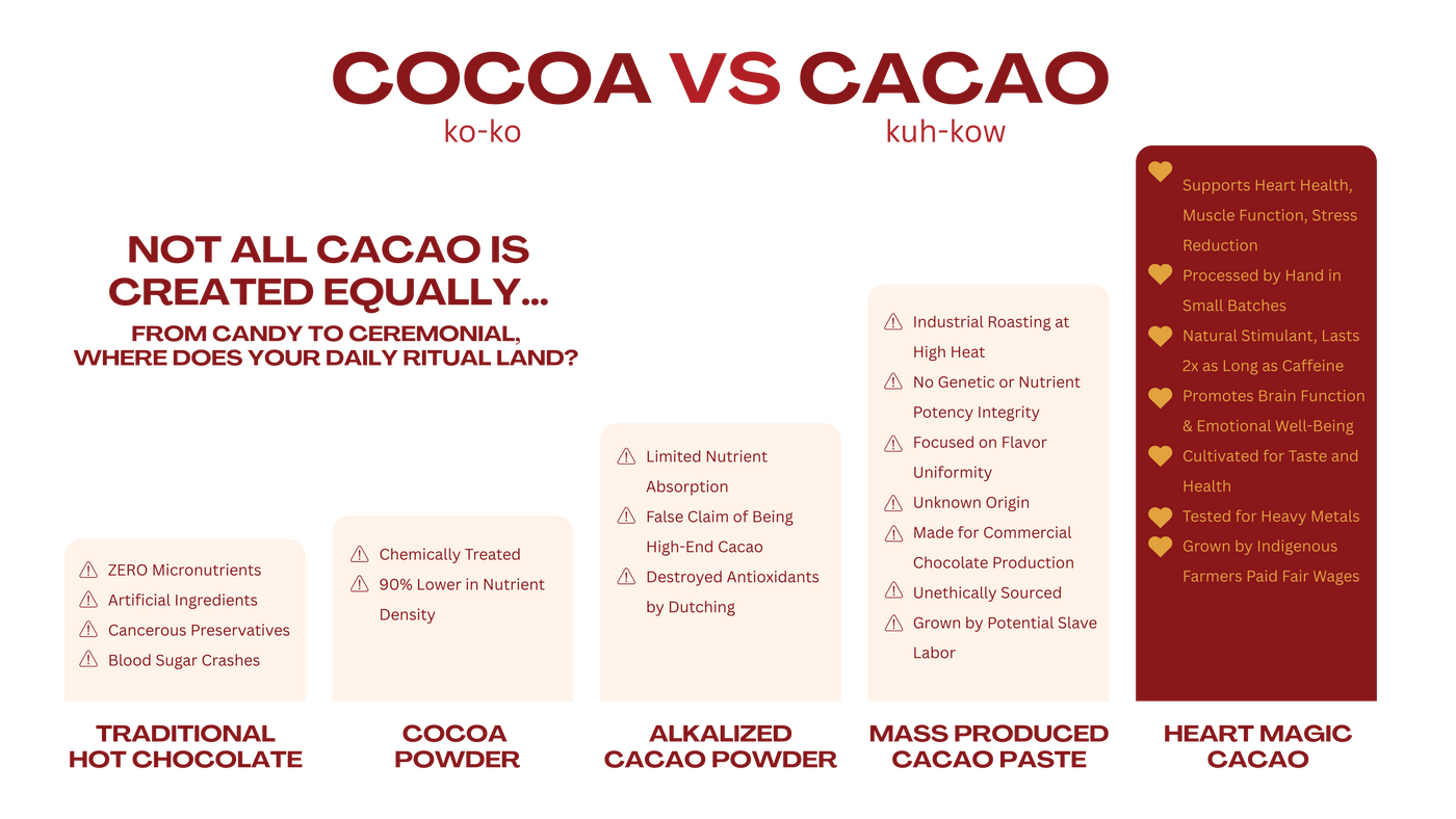 Comparison chart: cocoa versus cacao, from traditional hot chocolate through Heart Magic ceremonial cacao