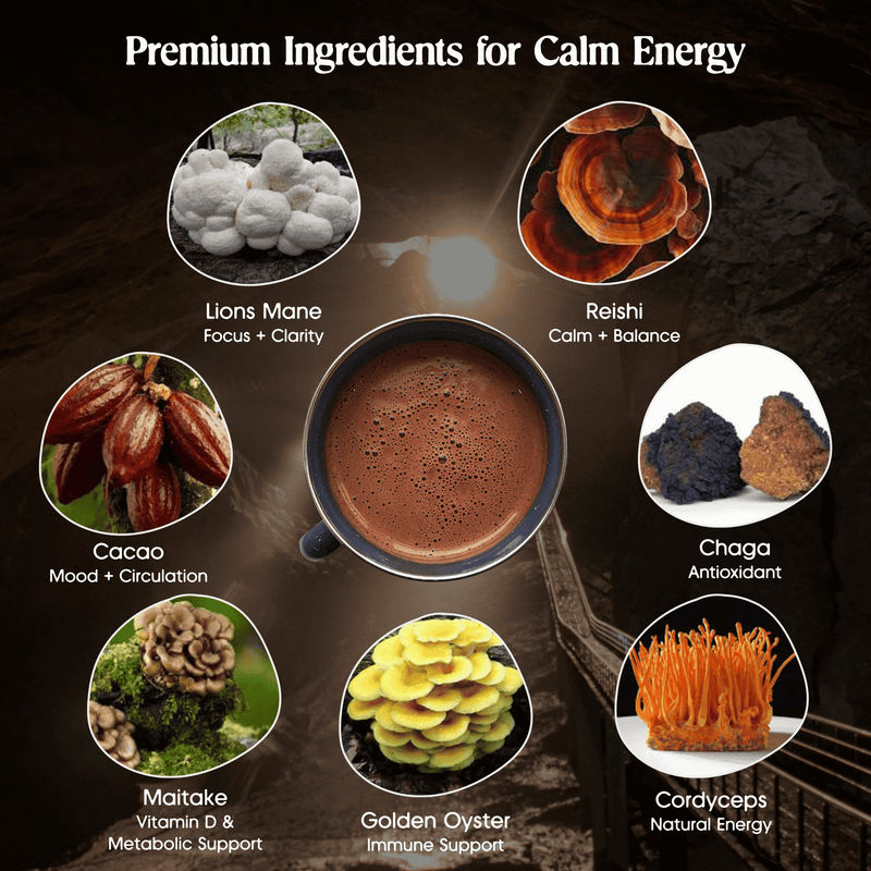 Icon chart of what's inside every Heart Magic heart: heirloom cacao, lion's mane, reishi, chaga, maitake, and golden oyster mushroom