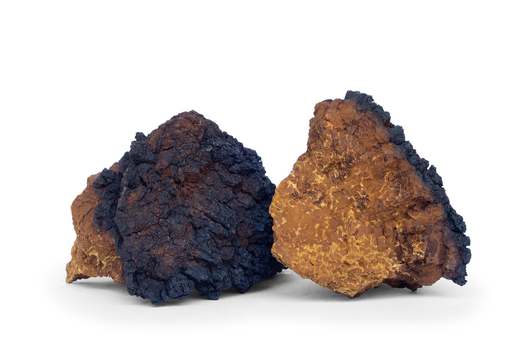 Chaga mushroom chunks, dark and charcoal like